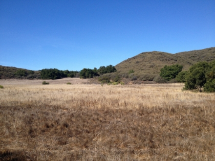 From the peak, the trail continues on through a large meadow. It's probably beautifully green in the Spring.