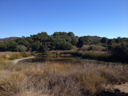 Nicholas Flat and the "lake".