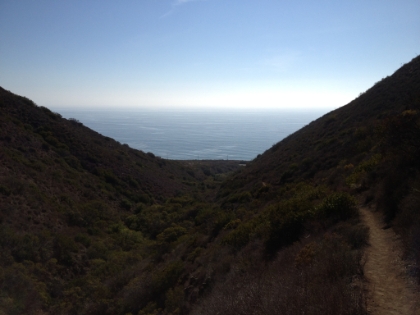 Heading down almost back to the beach, this time down the Willow Creek trail.