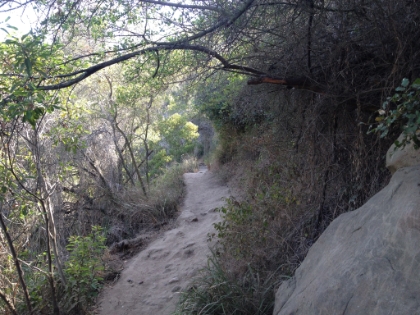 Some nice, chapparel covered singletrack. Unfortunately, this trail is one of the most crowded in the area.