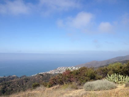 Looking North from the same spot.