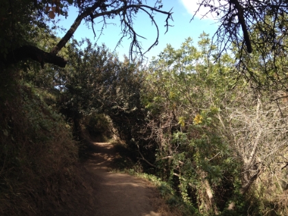 More great single track.