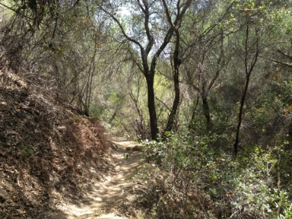 One of the few sections of singletrack on this route.
