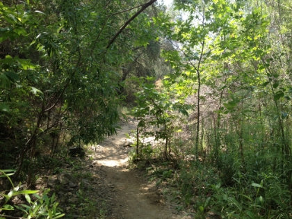 I wish it was like this the whole way!