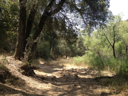 Running along a dry creek bed.