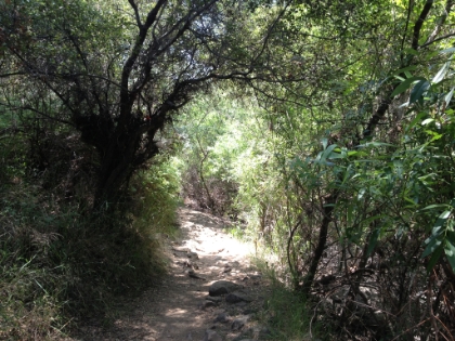 About as technical as it gets on this trail.