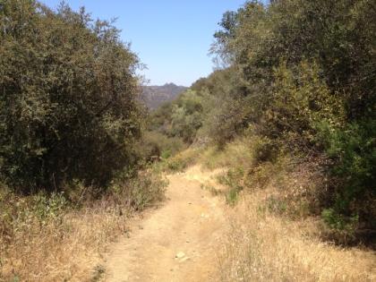 Mostly fireroad on the way down, but occasionally some wide singletrack.