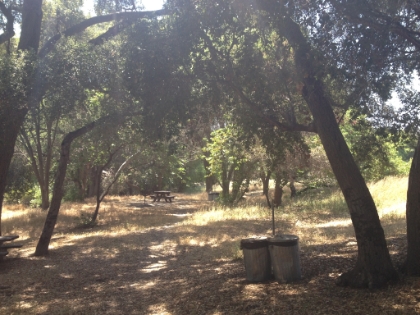 All the way back down to the Piuma campgrounds.