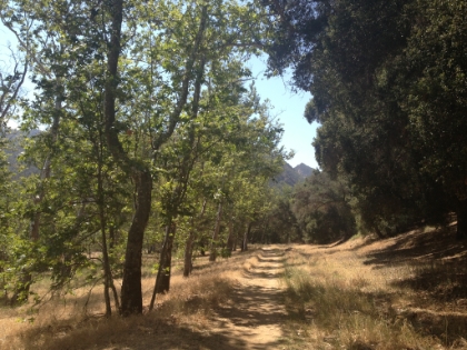 There's some nice trail in this area. One last climb and then back to the trailhead.