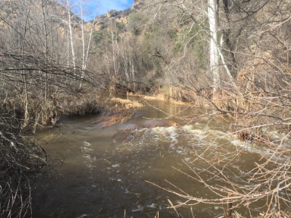 Hard to tell here, but the water is moving fast.