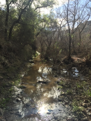 The section of single track before you get to the MASH site was a complete bog. You had to go around it where possible and through it where necessary.