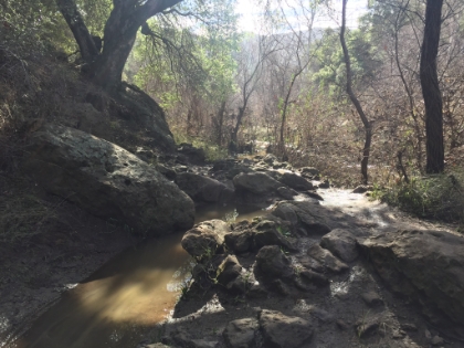 It made for beautiful trail though. I live for these kind of days!