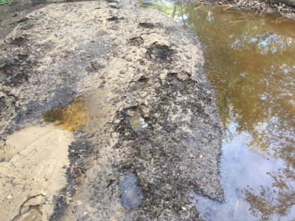 There were sections of mudslide that looked like solid footing, but were really just caked-over water nearly knee deep. My shoes were heavy, wet and muddy the rest of the way.