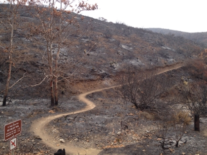 Three weeks later, roughly one month after the fire, the trails had been re-opened and I headed back to check them out. Here we see the end of the Ray Miller trail where the Xterra trail race ends. I would be following the race route today.