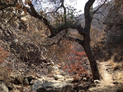 Heading up the narrow, rocky canyon.