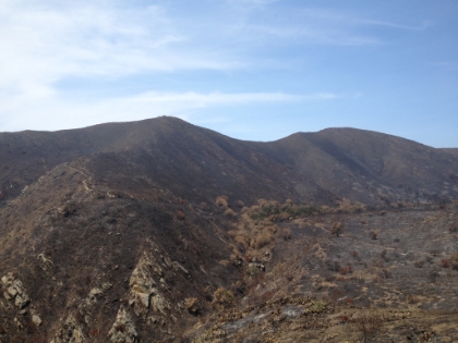 The Pt. Mugu backcountry. Totally barren. It feels like a foreign planet. Some of the trees have partially survived in the creek beds, but that's about it.