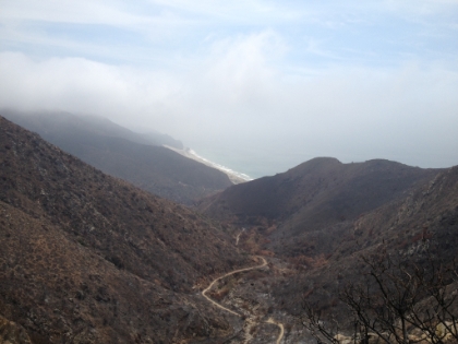 Looking back down La Jolla Canyon towards the coastline.