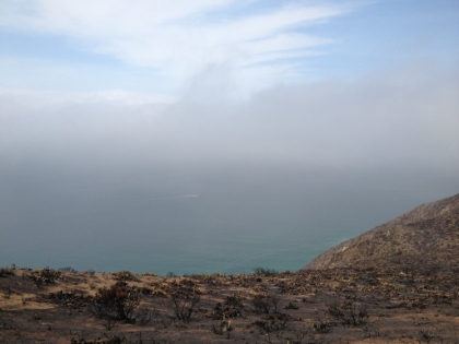 The Mugu Peak trail has some of the most amazing views in the area. 1,000' above the water, less than a half mile from the surf. Unfortuantely, it was a partially overcast day. On a clear day, this is probably the best ocean view in Southern CA.