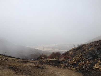 Top of the Chumash Trail. 880' drop in 0.7 miles.