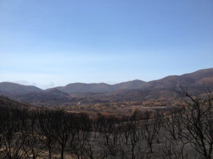 Looking back down the valley.