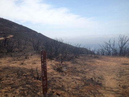 Top of the Ray Miller trail ready to head back down.