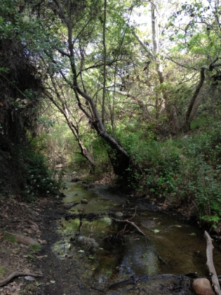 It's beautiful though.