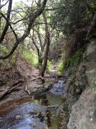 The water probably roars through here after a big rain.