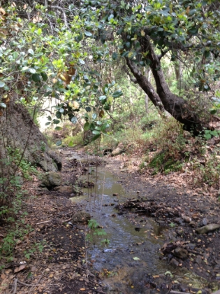 Not a single human around.