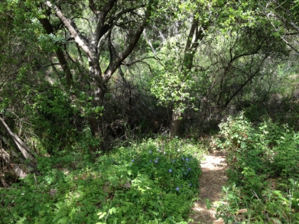 Beautifully green in spots.