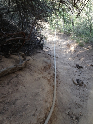 Since there is no well established trail, there's a spider-web of paths and use trails, with no way of knowing which one is the "right" one. In most cases, I just stuck with whatever stayed closest to the creek. I was unsure how to get around the waterfall though. Turns out, one of the paths leads up and out of the canyon with same crazy steep sections that actually have ropes to pull yourself up.