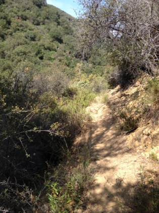 Some rough trail running along the canyon wall leading around the waterfall.