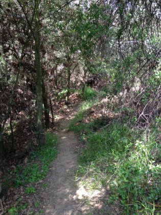 There's some nice single-track in the area though.