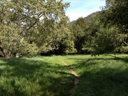 The meadow area at the juctinon with a trail split leading up to the Backbone trail.