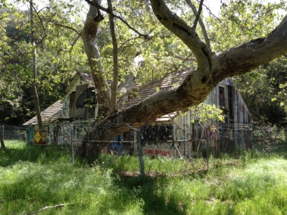 Unfortunateluy, another tagged building in the middle of the meadow.