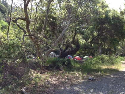 Popping out of the creek bed to see the camp. They probably wondered what was making all that noise tromping through the brush.
