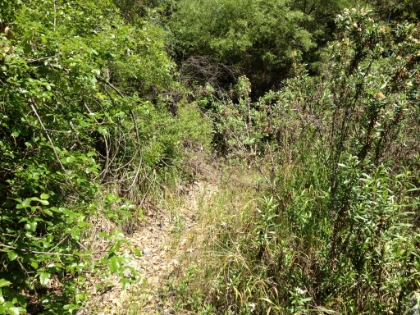 Rather than trying to go through the camp, I decide to go around by following the creek bed. It's a lot of bushwhacking though.