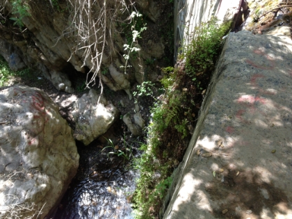This route goes to the top of the waterfall. It's easier going from here on out. I ended-up tacking on a couple miles on the Backbone trail in Will Rogers since most of the rest of the day was unrunabble. With that, I ended another great day on the trails.
