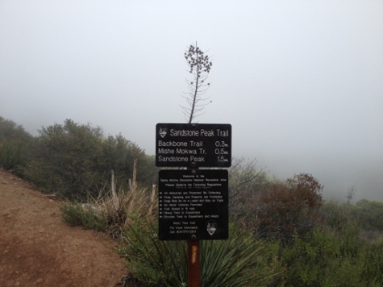 The Mishe Mokwa plus Backbone trails form a nice 6 mile loop. I ran it counter-clockwise first then clockwise on the way back.