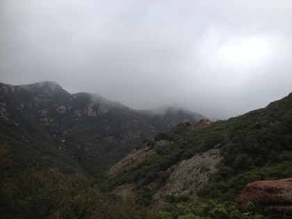 Looking down the canyon.