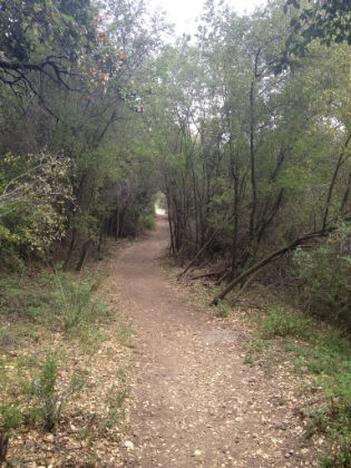 Now I continue the clockwise loop and head down the Mishe Mokwa trail.