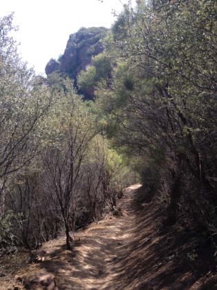 The downhill is definitely much nicer on Mishe Monkwa than on the Backbone side of the loop. I reach the bottom of Mishe Monkwa and then cross over to the Sandstone Peak trailhead and then back to Circle X Ranch. Another great day in the Santa Monica Mountains in the books.