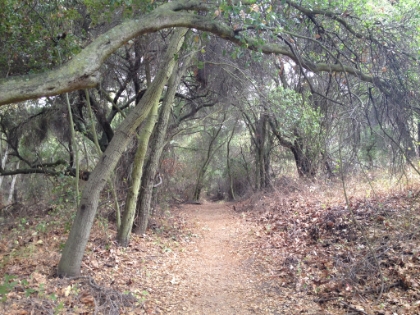Back on the main trail up the canyon.