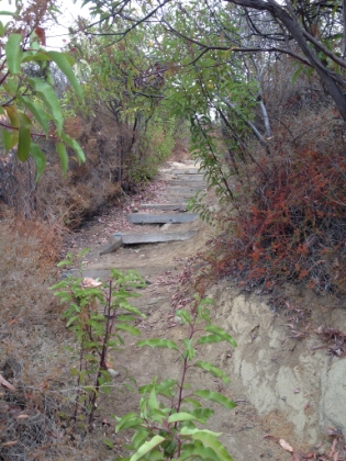 Starting the steep climb out of the canyon. The 700' of gain on this trail is almost entirely in the second mile.