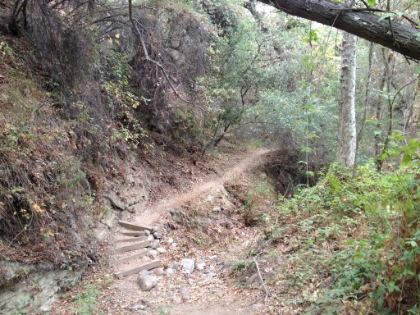 More great single track.