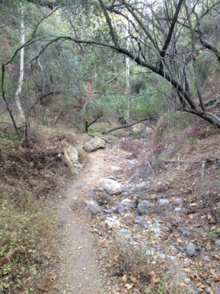 Nearing the end of the canyon.