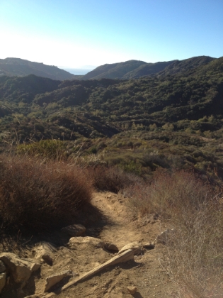 Almost to the ridge, looking back down the canyon.
