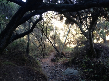 Santa Ynez Canyon