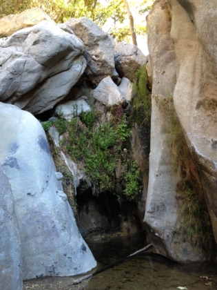 The "waterfall", or at least where it would be in a wet year. It might be almost 10 feet high if it was really flowing.
