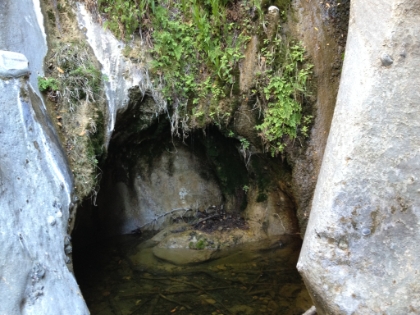 Today, there is just a trickle off the moss.