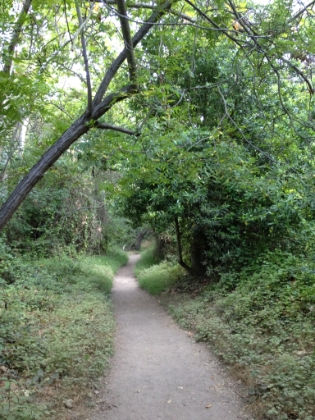 Some nice, but wide single track. This trail gets much more crowded than Temescal Rivas.